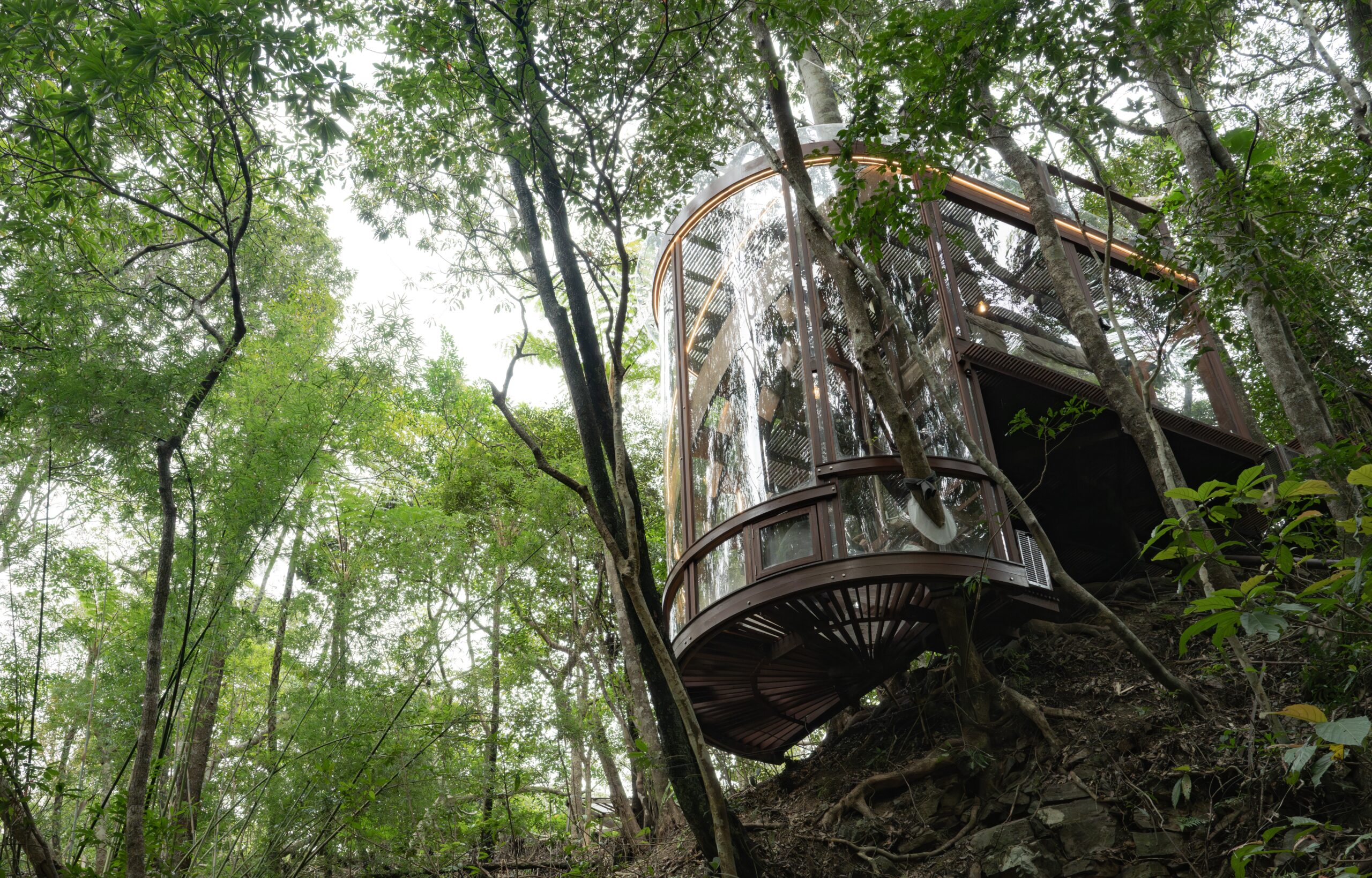 班布樹屋(樹屋單體)